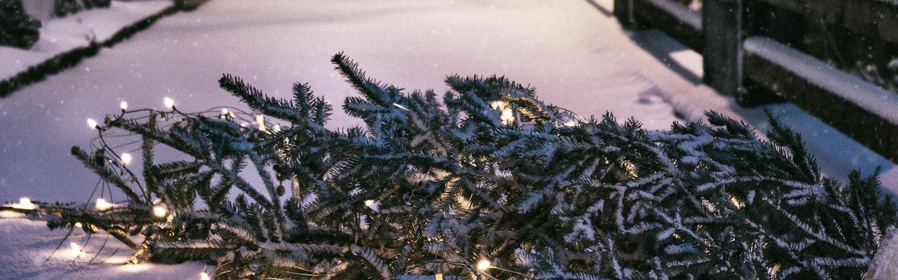 O Tannenbaum, o Tannenbaum Noten für Trompete